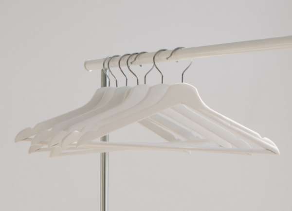 Decolorization of textile dyes by edible white rot fungi