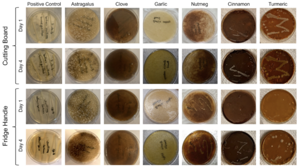 Antimicrobial properties of common household spices on microbes cultured from two kitchen locations