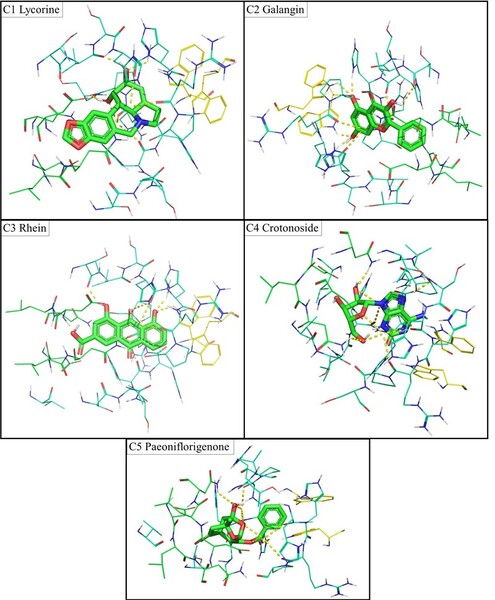 Virtual Screening of Cutibacterium acnes Antibacterial Agent Using Natural Compounds Database