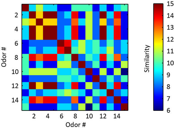 Lack of correlation between odor composition and neuron response in the olfactory cortex of mice