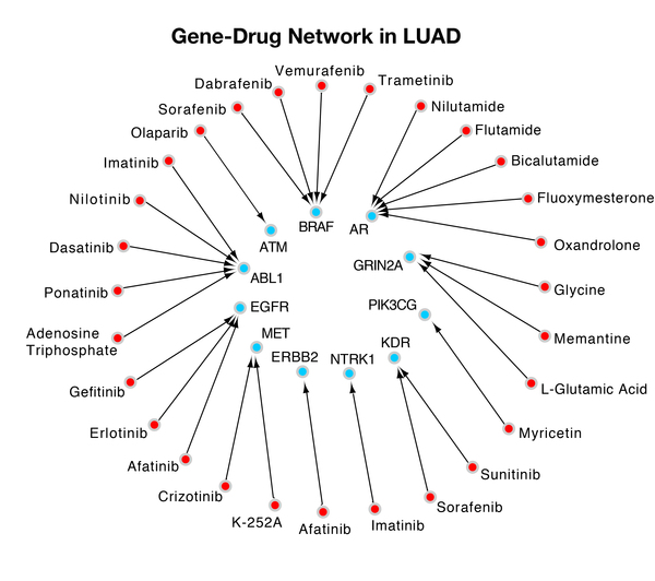 DyGS: A Dynamic Gene Searching Algorithm for Cancer Detection