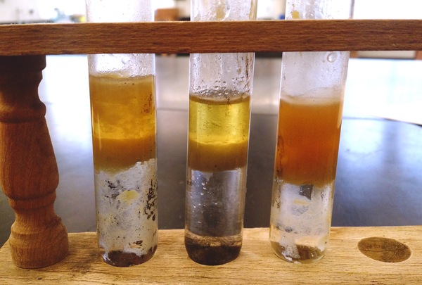 Differentiation of Waste Plastic Pyrolysis Fuels to Conventional Diesel Fuel
