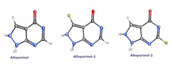A computational quantum chemical study of fluorinated Allopurinol