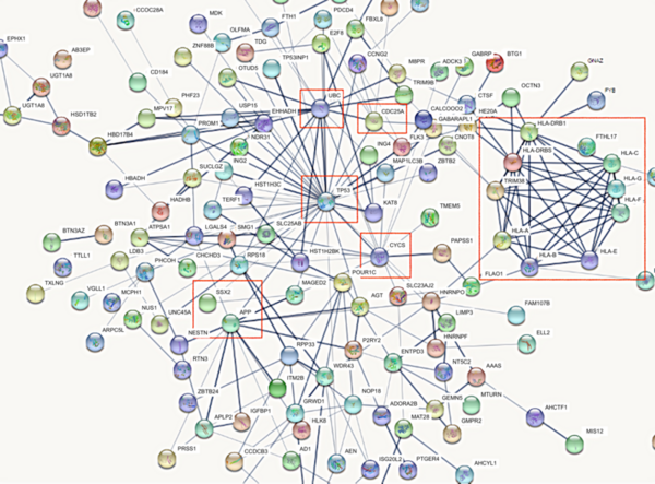 Gene expression profiling of MERS-CoV-London strain