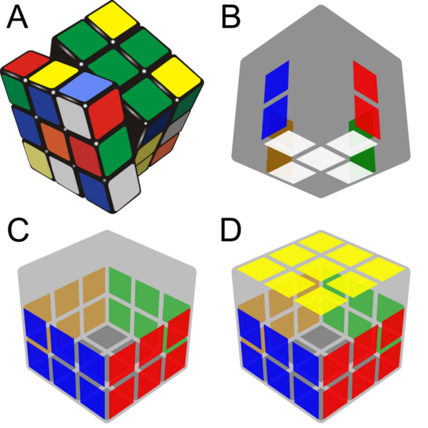 Rubik’s cube: What separates the fastest solvers from the rest?