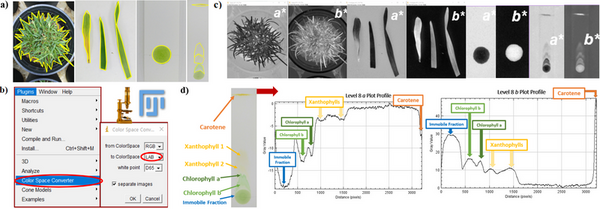 Assessing grass water use efficiency through smartphone imaging and ImageJ analysis