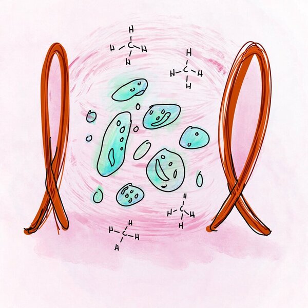 Examining the Growth of Methanotrophic Bacteria Immersed in Extremely Low-Frequency Electromagnetic Fields