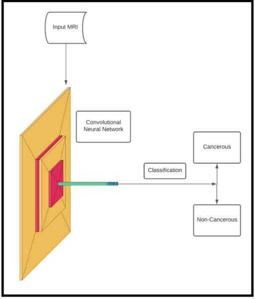 Predicting the Instance of Breast Cancer within Patients using a Convolutional Neural Network