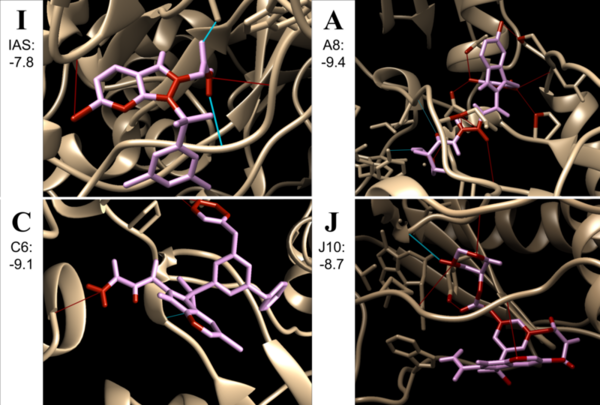 Computational development of aryl sulfone compounds as potential NNRTIs