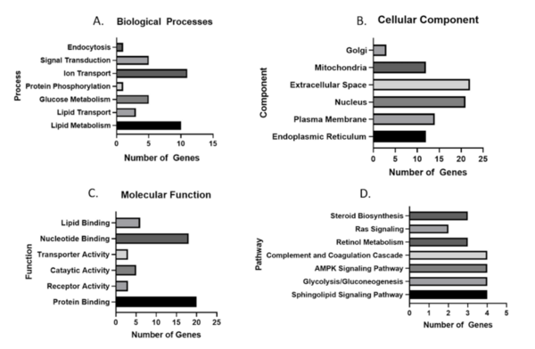 Identification of a core set of model agnostic mRNA associated with nonalcoholic steatohepatitis (NASH)