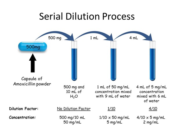 The Impact of Antibiotic Exposure and Concentration on Resistance in Bacteria