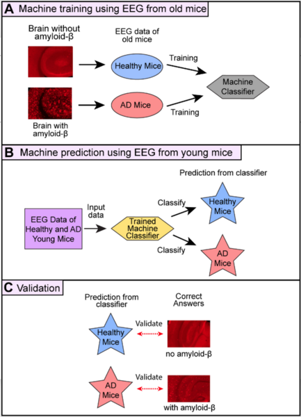 Prediction of preclinical Aβ deposit in Alzheimer’s disease mice using EEG and machine learning