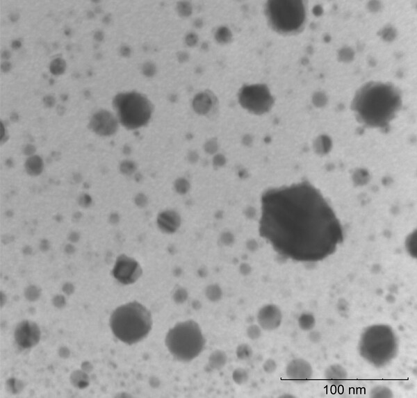 Copper nanoparticle synthesis using <i>Picea glauca</i> ‘Conica’