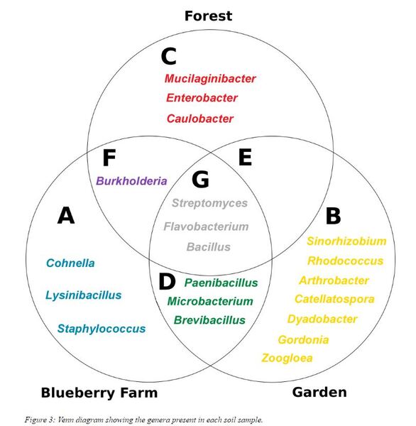 Bacterial Richness of Soil Samples from Southern New Hampshire