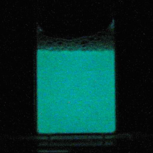 Effects of Quorum Sensing and Media on the Bioluminescent Bacteria Vibrio fischeri