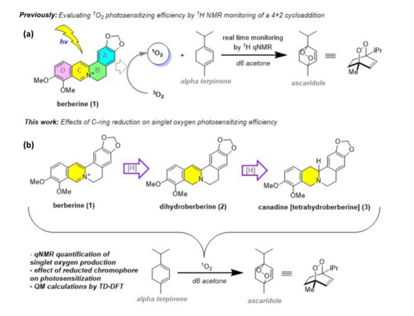 Singlet oxygen production analysis of reduced berberine analogs via NMR spectroscopy