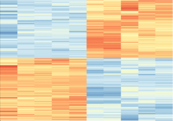 Differential MERS-CoV response in different cell types