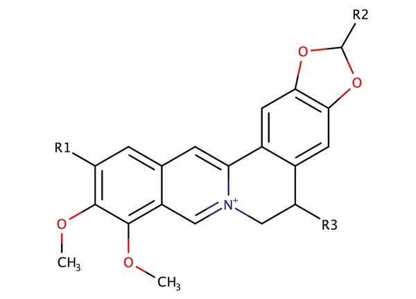 Structure-activity relationship of berberine and G4 DNA reveals aromaticity’s effect on binding affinity