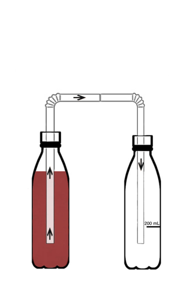 Modeling the heart’s reaction to narrow blood vessels