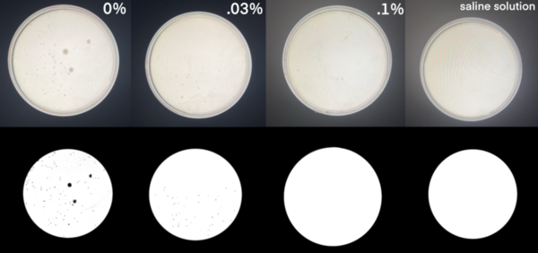 Failure of colony growth in probiotic <i>Lactobacillus casei</i> Shirota as result of preservative sorbic acid