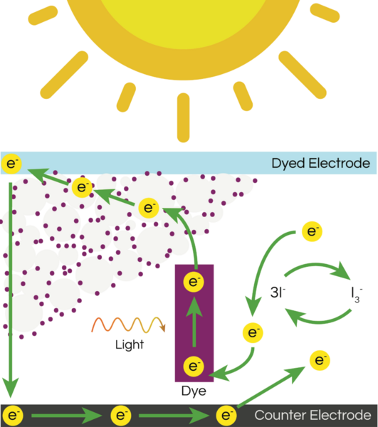 Efficacy of Rotten and Fresh Fruit Extracts as the Photosensitive Dye for Dye-Sensitized Solar Cells
