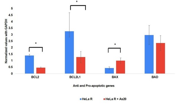 The anticancer and anti-inflammatory effects of polyherbal drug AS20 on HeLa cells resistant to 5-Fluorouracil