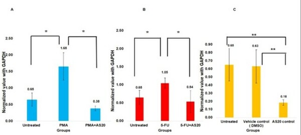 Apoptosis induction and anti-inflammatory activity of polyherbal drug AS20 on cervical cancer cell lines
