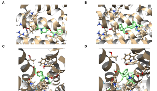 Developing anticholinergic drugs for the treatment of asthma with improved efficacy