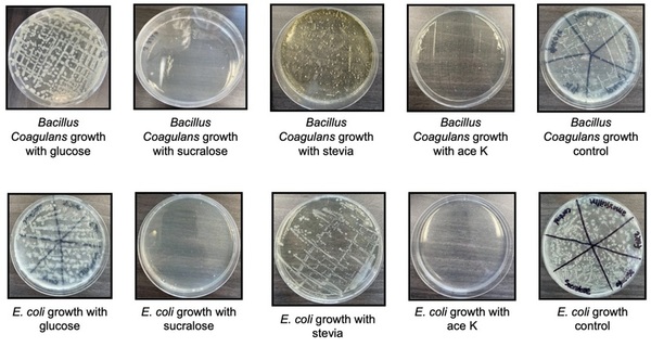 Ramifications of natural and artificial sweeteners on the gastrointestinal system