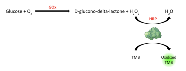 The peroxidase-like activity of papain colorimetrically detects H<sub>2</sub>O<sub>2</sub> and glucose with high sensitivity