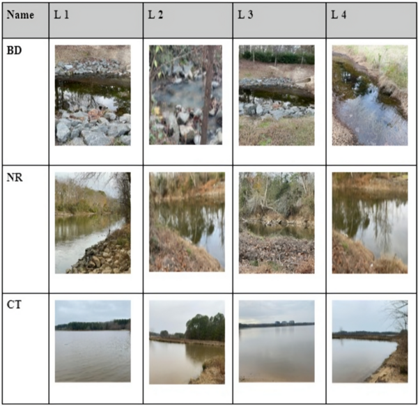 Impact of hog farming on water quality of aquatic environments in North Carolina