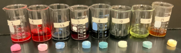 Developing novel plant waste-based hydrogels for skin regeneration and infection detection in diabetic wounds