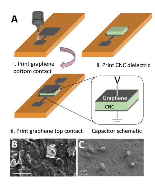 Impact of NaCl concentration in crystalline nanocellulose for printed ionic dielectrics