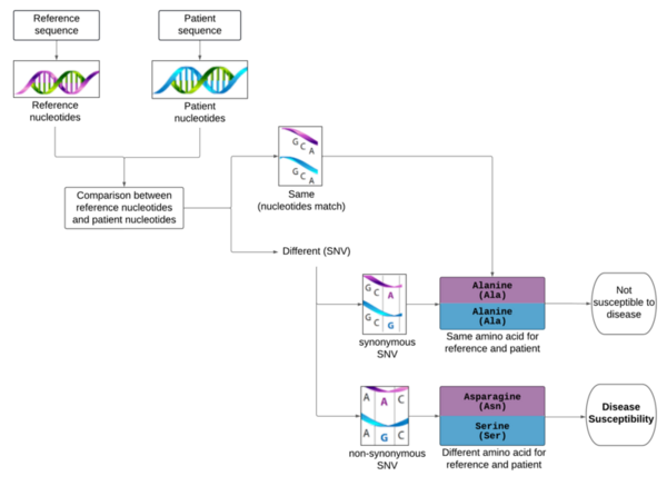 The impact of genetic analysis on the early detection of colorectal cancer