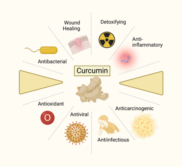 Effect of pH on the antibacterial properties of turmeric