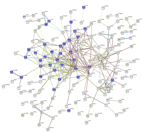 Aberrant response to dexamethasone suppression test associated with inflammatory response in MDD patients