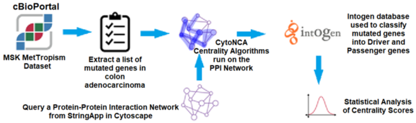 Applying centrality analysis on a protein interaction network to predict colorectal cancer driver genes