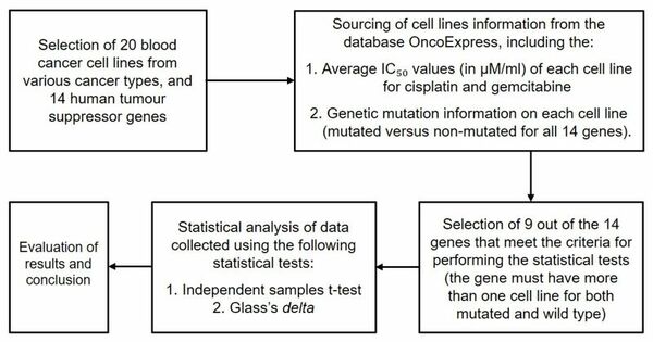 DNA repair protein mutations alter blood cancer sensitivity to cisplatin or gemcitabine <i>in vitro</i>