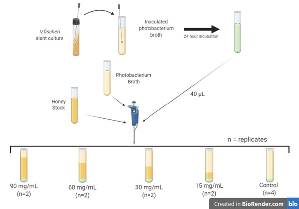 The characterization of quorum sensing trajectories of <i>Vibrio fischeri</i> using longitudinal data analytics