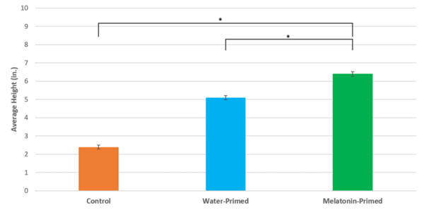 Seed priming with melatonin improves drought tolerance in maize