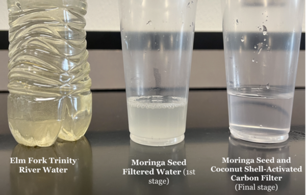Heavy metal and bacterial water filtration using <i>Moringa oleifera</i> and coconut shell-activated carbon