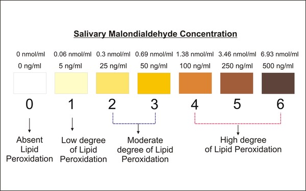 QuitPuff: A Simple Method Using Saliva to Assess the Risk of Oral Pre-Cancerous Lesions and Oral Squamous Cell Carcinoma in Chronic Smokers 
