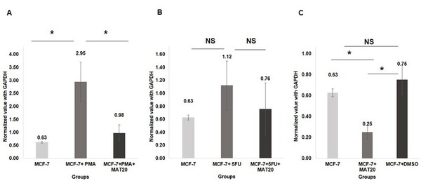 Cover photo for Anti-inflammatory and pro-apoptotic properties of the polyherbal drug, MAT20, in MCF-7 cells