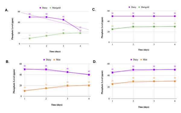Analyzing the effect of mycorrhizal fungi on plant communication of nutrients
