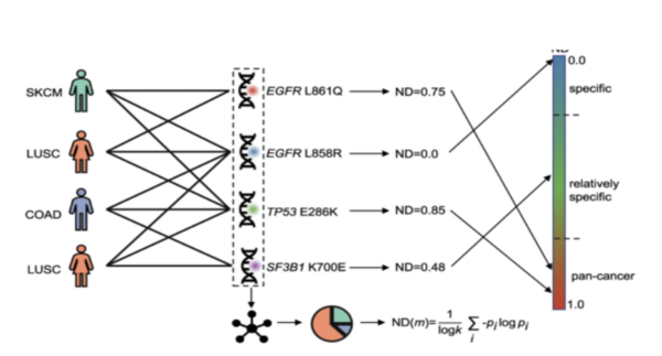 Using explainable artificial intelligence to identify patient-specific breast cancer subtypes