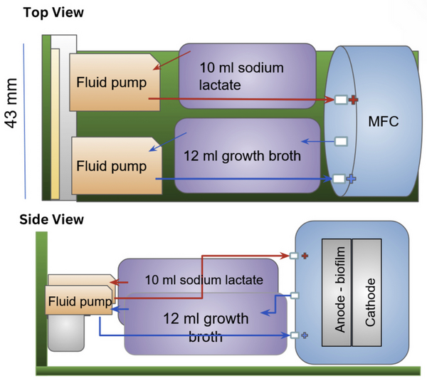 Voltage, power, and energy production of a <i>Shewanella oneidensis</i> biofilm microbial fuel cell in microgravity