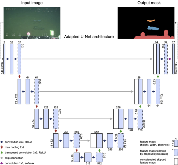 Enhancing marine debris identification with convolutional neural networks