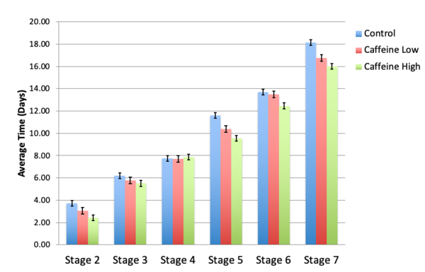The Effect of Caffeine on the Regeneration of Brown Planaria (<em>Dugesia tigrina</em>)
