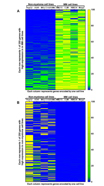 Identification of potential therapeutic targets for multiple myeloma by gene expression analysis