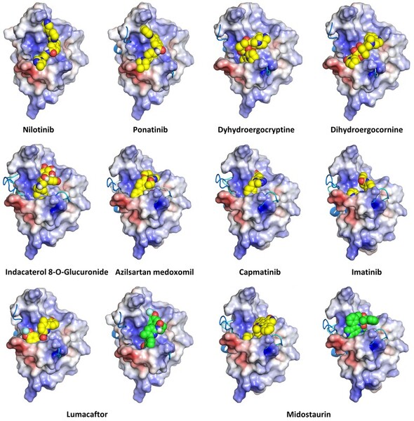 Computational analysis and drug repositioning: Targeting the TDP-43 RRM using FDA-approved drugs